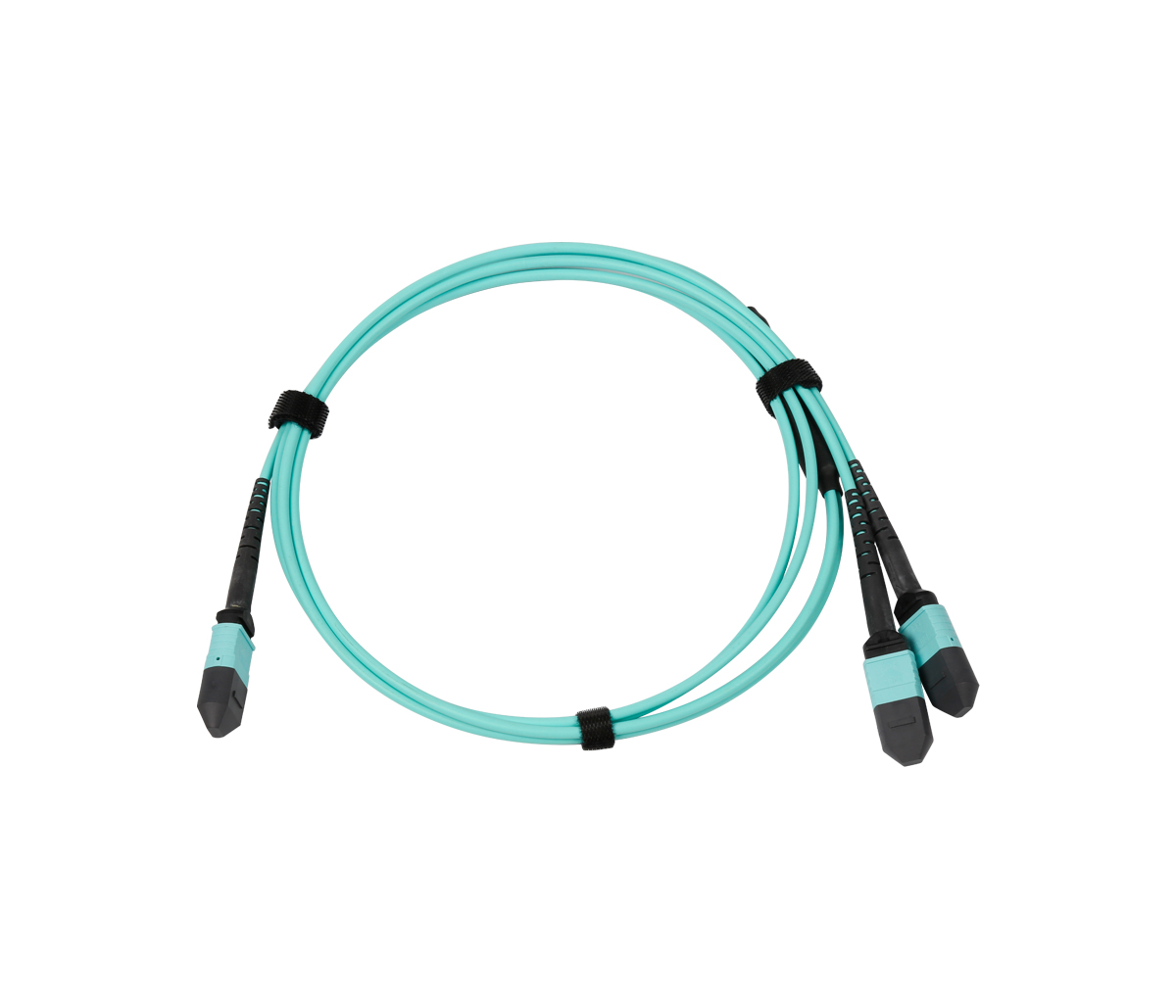 1MPO×2MPO Patch Cord