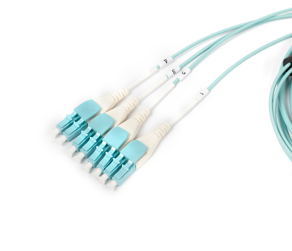 MPO-LC 8F Patch Cord