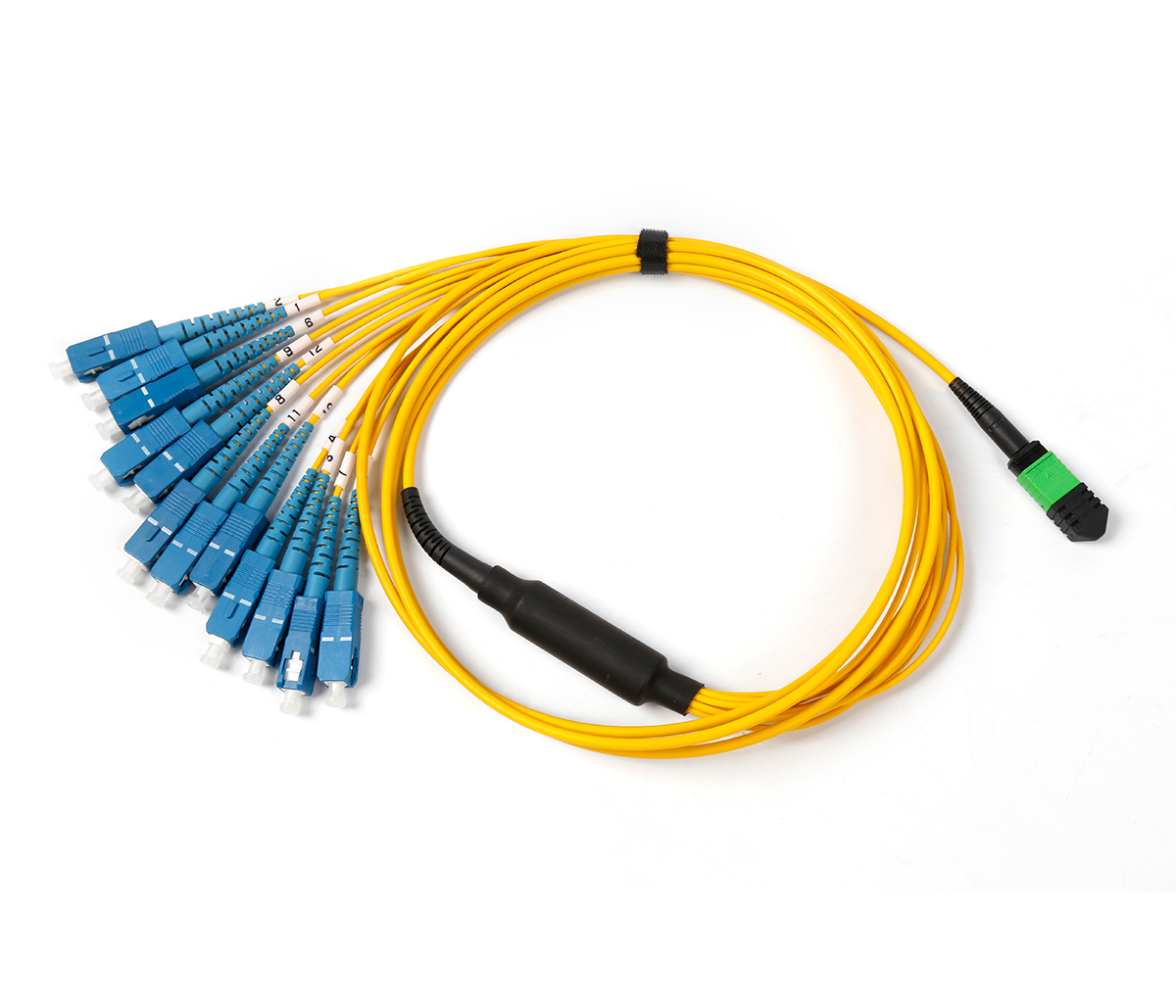 MPO-SC 12F Patch Cord