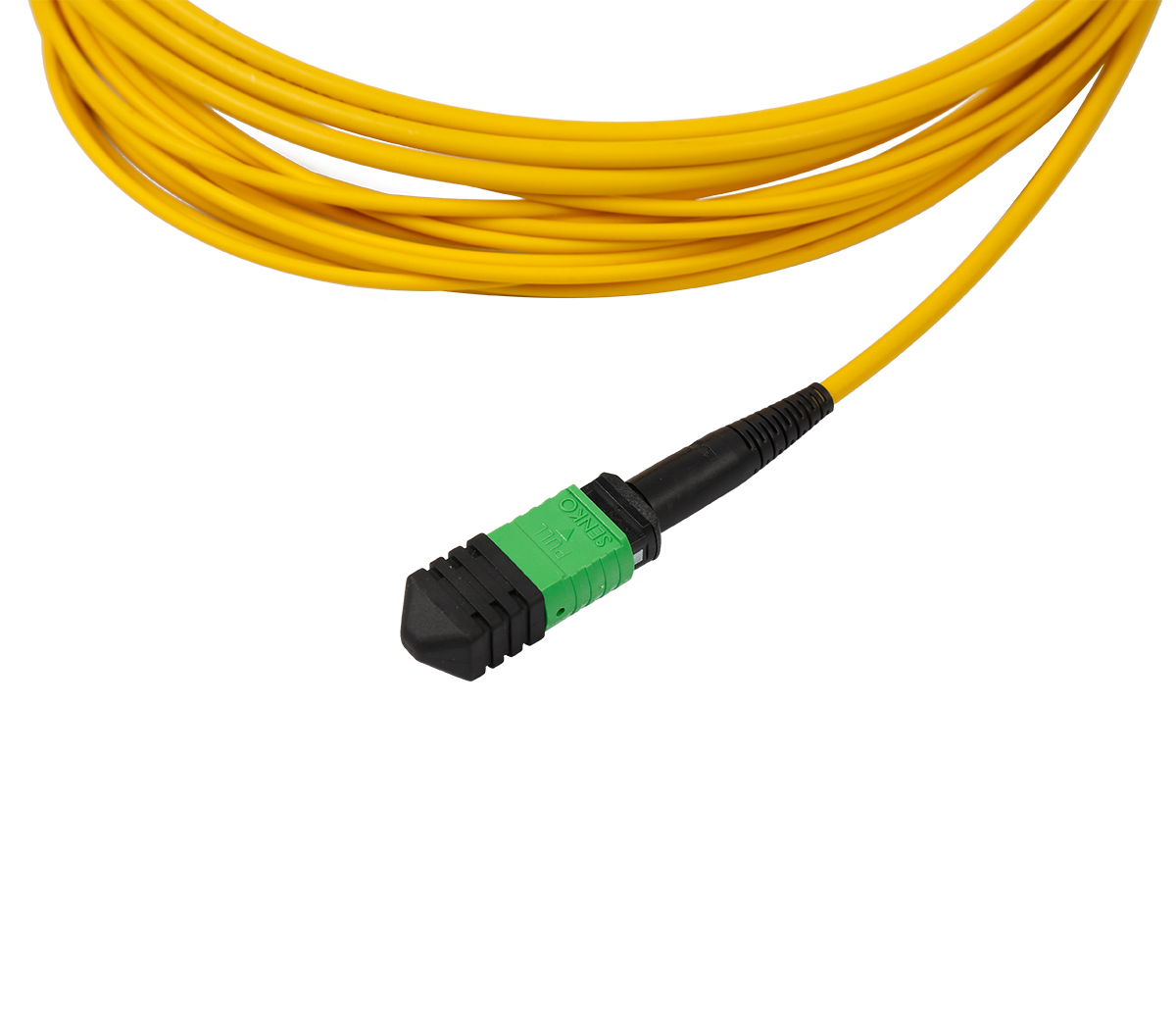 MPO-SC 12F Patch Cord