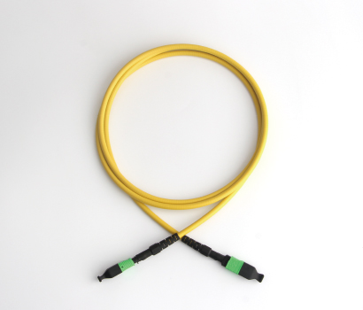 Armored MPO Patch Cord